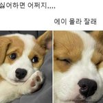 내 <b>유일</b>한 자랑