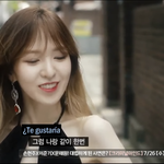 숑키 어떤 어그로 끌었던 사람임?