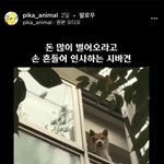 [BTOB] 나 인별에서 <b>동물</b>짤 엄청 보는데