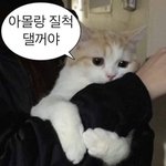 [드루와] 먹방 유튜버 추천좀