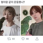 [TXT] 아닠ㅋㅋㅋ토토