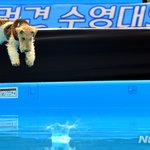 짝남한테 복수중