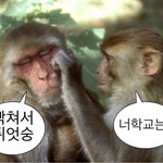 온조 <b>초반</b>에 개답답하지않냐