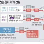 자가진단키트 <b>음성</b>나오면 pcr검사 안 해도 되지??