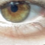 <b>눈동자색</b> 특이한 사람잇음?