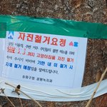 이고양이들은  어디로 <b>가야</b> 할까요