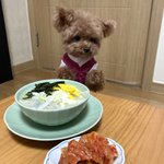 지<b>우학</b> 야한 장면 몇화에 나옴