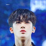 활짝 피어난 고급스러운 <b>분위기들</b>