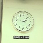 요즘 음방 하드캐리하는 에이스의 하루