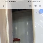 [고양이] 어쩌다 ᆢ집사가된 <b>사연</b>~