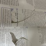 숙제하다 너무 많이틀려서 책 찢엇는데어떡해