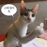 [댓글부탁해] 근데 코로나가 왜이렇게 많이 나오는거임?