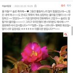 [NCT칠프] <b>반대</b>누르고 싶은데 베댓올라갔으면 좋겠음ㅜㅜㅠ