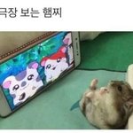 [댓글부탁해] 내일 학원쌤 새로 오시는데 개떨림