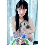 누구집 댕댕이들이 이렇게 귀엽니!