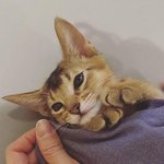 [WayV] 사진 <b>출처</b> 좀 찾아줘 ㅠㅠ