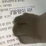 예쁜 애가 이러면 어떰?
