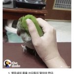 [TXT] 범규가 이 사실을 알고 있으려나..<b>토토</b>