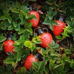 <b>투박</b>한 듯 유니크한 세라믹 세트