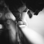 외나무 다리에서 만난 <b>시크</b> 냥이들