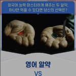[드루와] 외국어 능력 선택 <b>알약</b> 뭐먹을래?