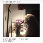[19] 너네 생각은 어때 <b>추반</b>ㄱ