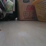 아 자고일어났더니 ㅈ됐어 이거 <b>어떡</b>함?