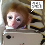 운전 <b>면허</b> 딴 사람??