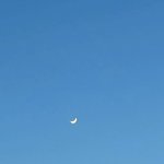 [NCT드림] 젠오가 버블로 보내준 배경 차일드랑 <b>찰떡</b>이당