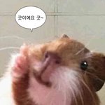[댓글부탁해] <b>허쉬</b>컷한 애들아