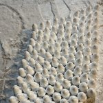 [NCT칠프] <b>눈사람</b> 127개