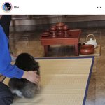 김태형 혼자 <b>인소</b>쓰네