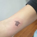 거북이 타투 <b>도안</b> 좀 봐줘