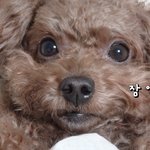 나 지금 완전 <b>이상태</b>