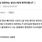 [댓글부탁해] 여동생에게 처맞은 <b>디시</b>인