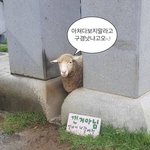 [19] <b>헌포</b> 가고 싶당