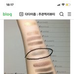 [댓글부탁해] 회갈색, <b>애쉬</b>브라운 펄 섀도우 추천 좀 ㅠㅠ
