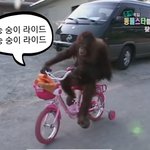 [더보이즈] <b>숭이</b>라이드