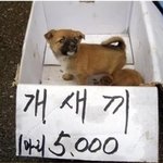 [19] 학교성교육때 진짜 싫은게