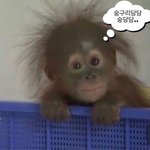 나에 내일 계획