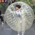 [더보이즈] 이 애기<b>족제비</b> 누구꺼야