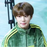[NCT칠프] 김정우 보고시퍼!