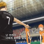 [하이큐] 히나타와 히나타에게 공을 올려주고 싶은 <b>세터</b>들