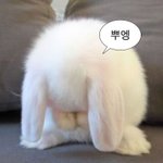 [댓글부탁해] 나같은 눈 있어..?(<b>미방</b>)