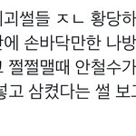 너네 그거 앎?? 안철수 <b>나방</b>