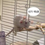 [드루와] 10일 3키로 뺐당