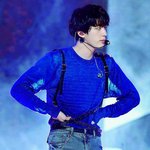 김석진<b>하네스</b>