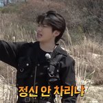 [세븐틴] 아 나 어뜨<b>카지</b>ㅋㅋㅋ