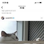 연예인 상상이상으로