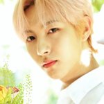 [NCT드림] <b>황인</b>줁 미모 충격실화